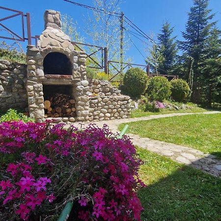 Chalet Mila Mavrovo Zewnętrze zdjęcie