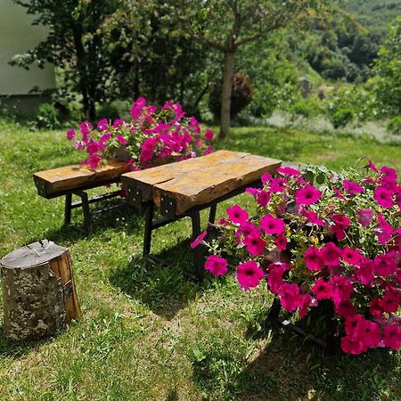 Chalet Mila Mavrovo Zewnętrze zdjęcie