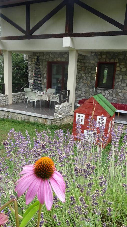 Chalet Mila Mavrovo Zewnętrze zdjęcie