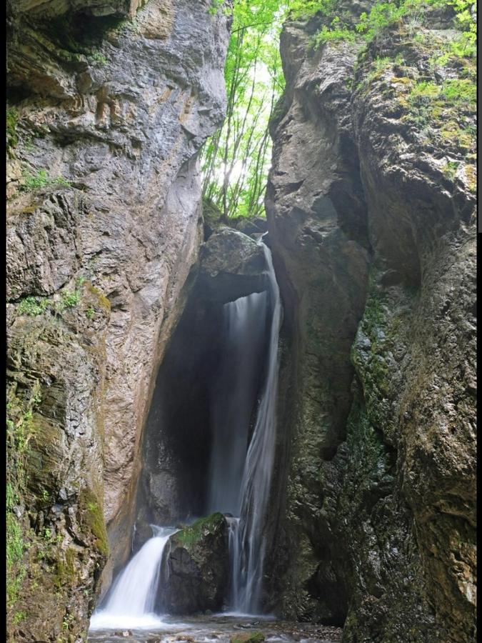 Chalet Mila Mavrovo Zewnętrze zdjęcie