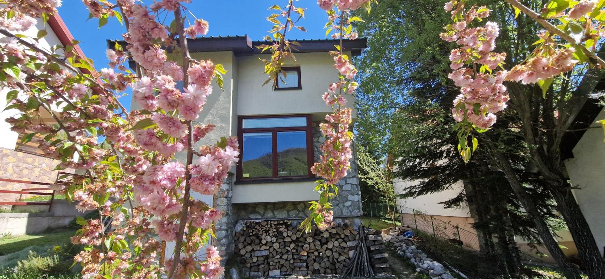Chalet Mila Mavrovo Zewnętrze zdjęcie
